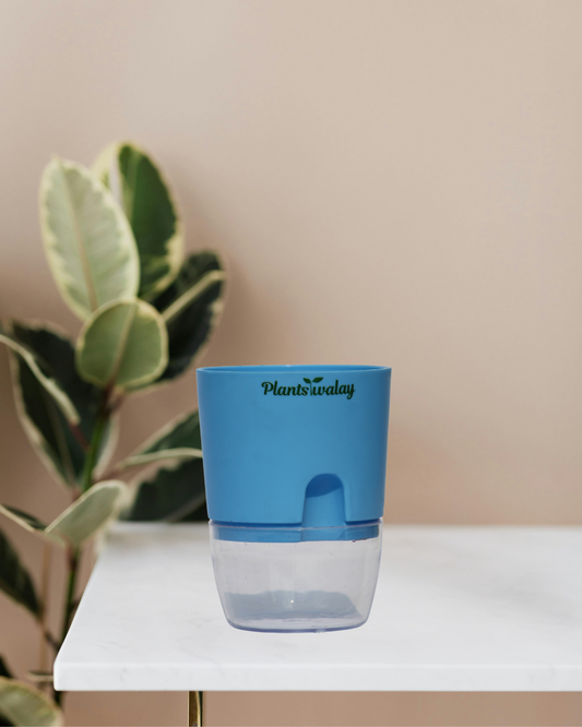 Round Self watering pot (without plant)