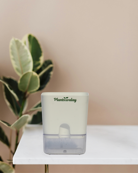 Square self watering pot (without plant)