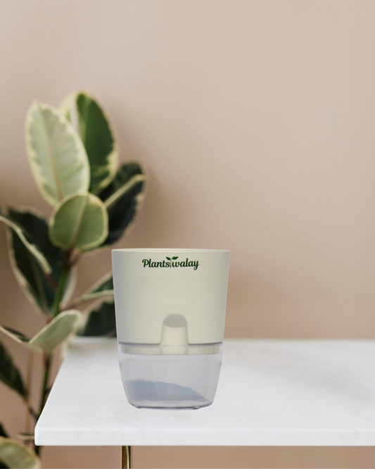 Round Self watering pot (without plant)