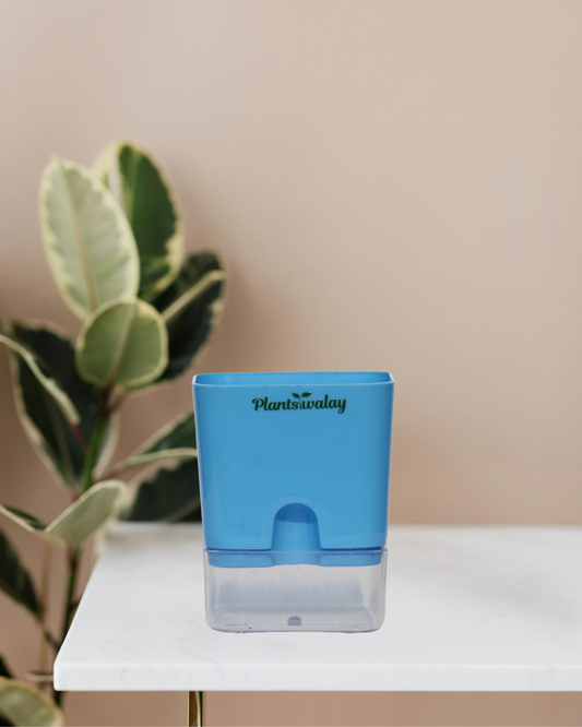 Square self watering pot (without plant)