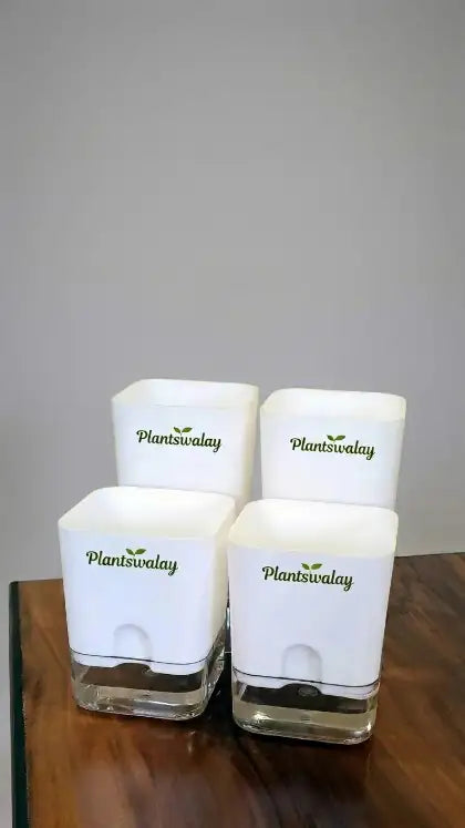 Set of 4 Self Watering square Pots (Without Plant)