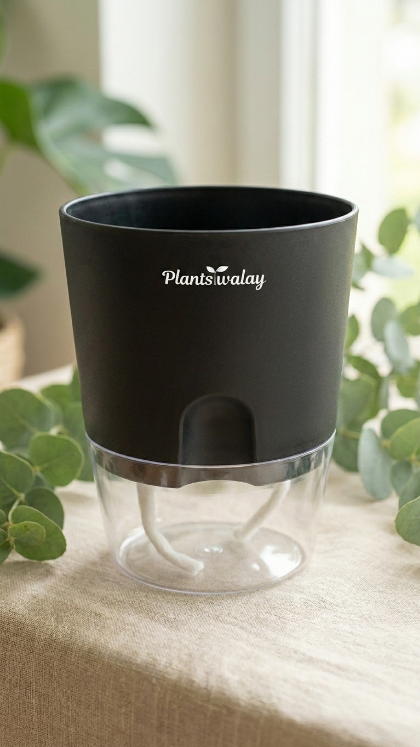 Round Self watering pot (without plant)