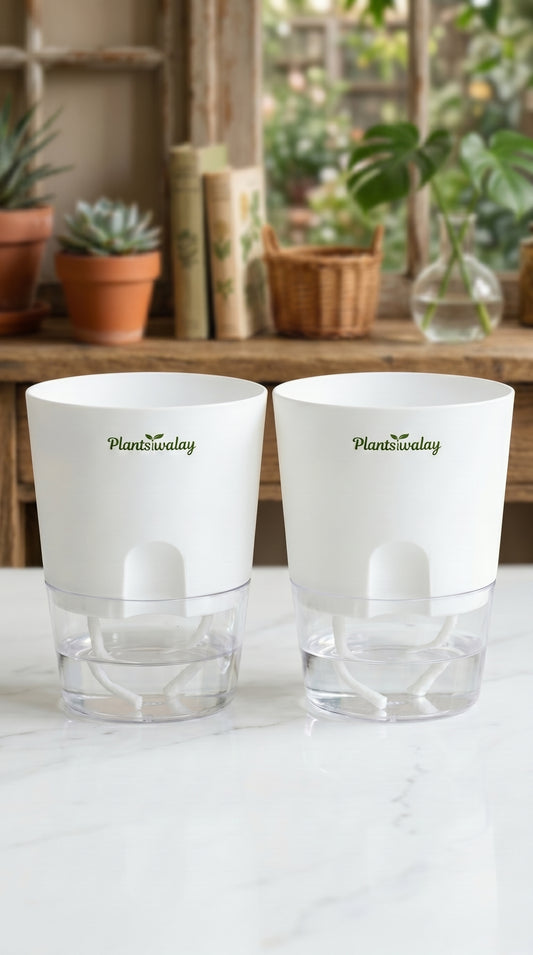 Set of 2 Self Watering round Pots (Without Plant)