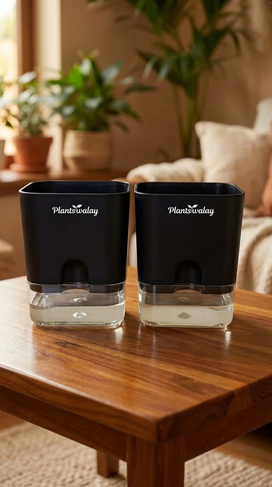 Set of 2 Self Watering Square Pots (Without Plant)