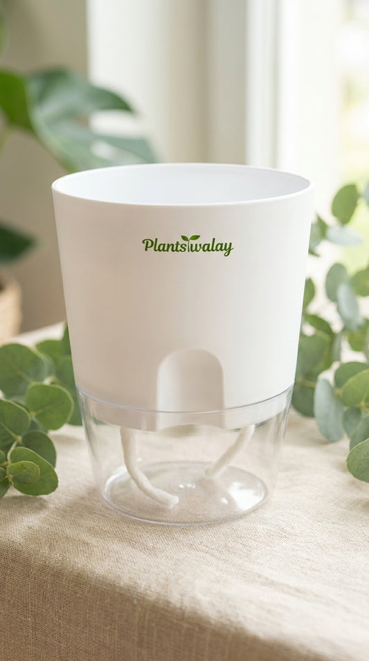 Round Self watering pot (without plant)