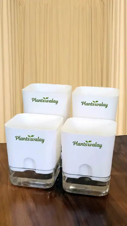 Set of 4 Self Watering square Pots (Without Plant)