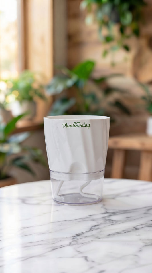 Cylinder shape self watering pot (Without Plant)