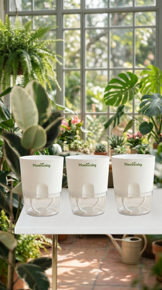 Set of 3 Self Watering round Pots (Without Plant)